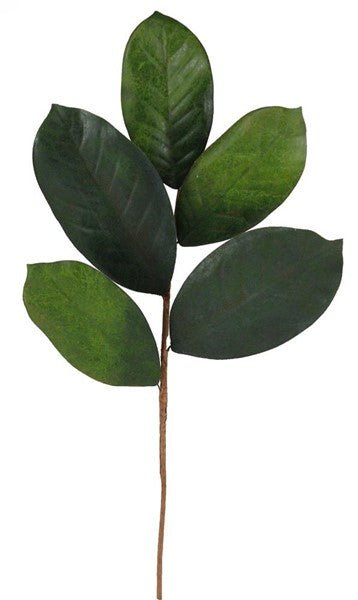 18"L Magnolia Leaf Pick - NF2004 - White Bayou Wreaths & Supply