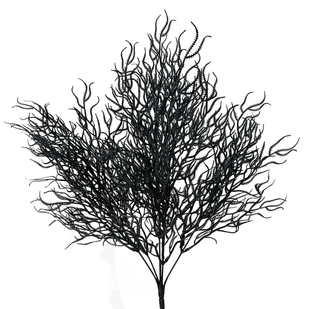 21" Cottonii Seaweed Bush: Black (5 Stem) - 57097BK - White Bayou Wreaths & Supply