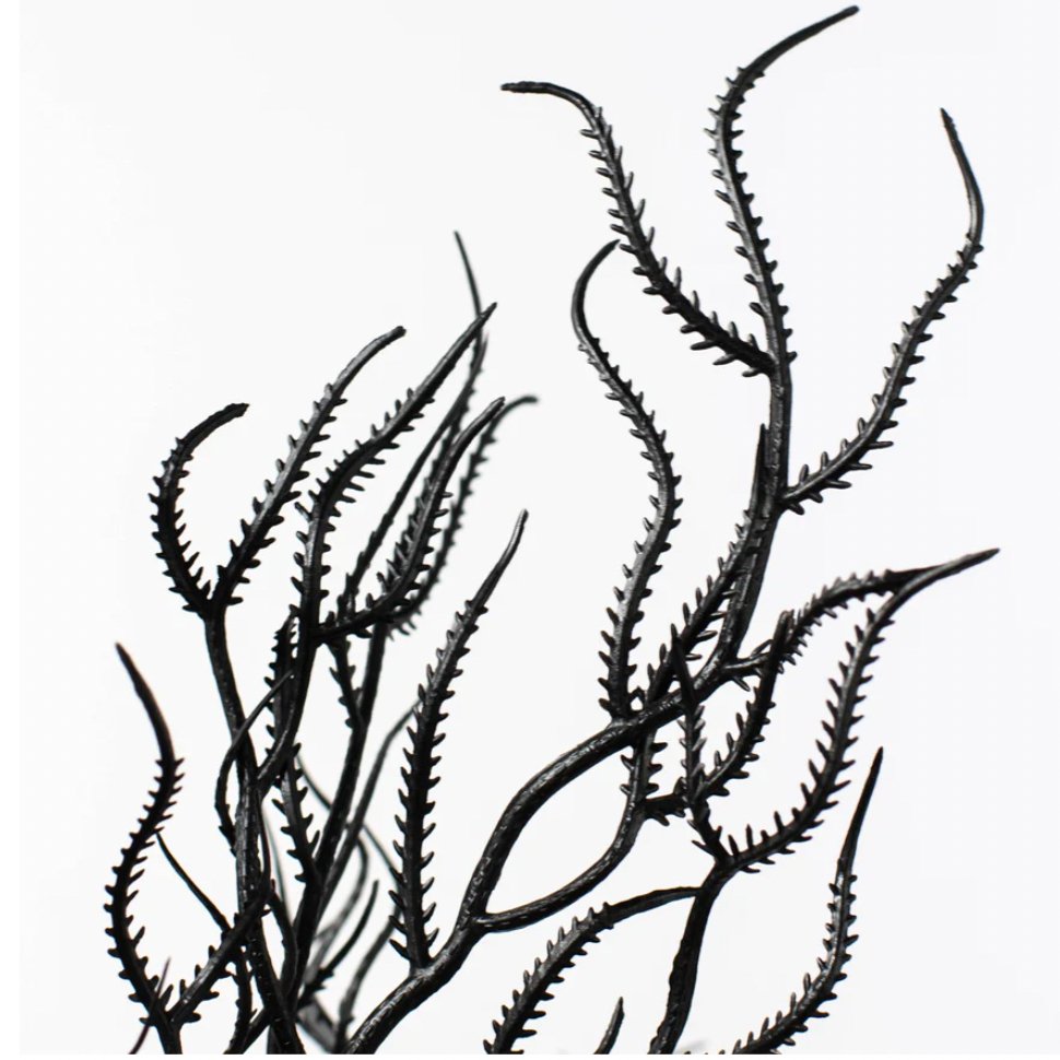 21" Cottonii Seaweed Bush: Black (5 Stem) - 57097BK - White Bayou Wreaths & Supply