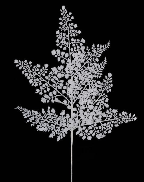 23"L Glitter Maidenhair Fern Spray x 7: White - XS236627 - White Bayou Wreaths & Supply