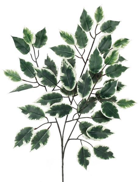 23"L Silk Ficus Spray: Green, White (Sold in Packs of 12) - FG505431 - White Bayou Wreaths & Supply