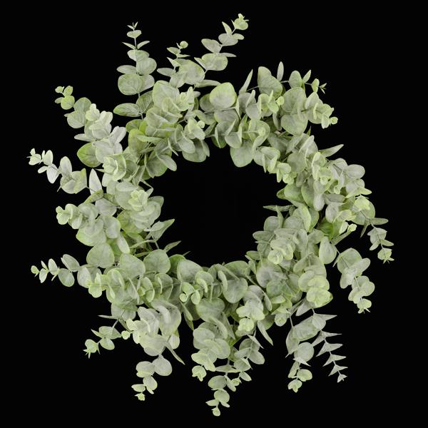 24" Dia Spiral Eucalyptus Wreath: Green - FG637631 - White Bayou Wreaths & Supply