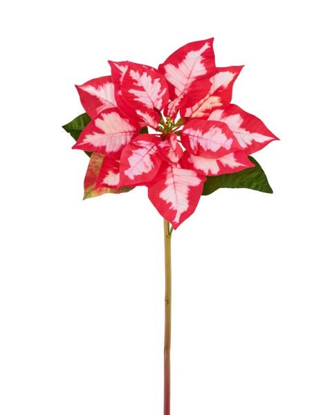 24"L Poinsettia Stem: Red, Cream, Green - XS4098A5 - White Bayou Wreaths & Supply