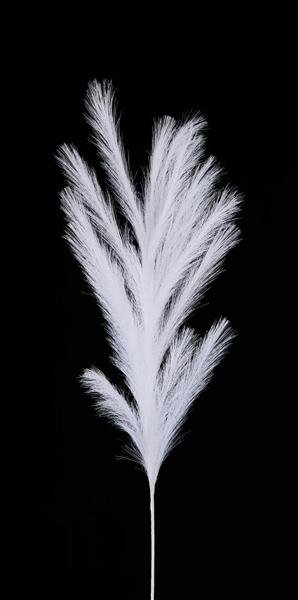 43"L Fabric Grass Plume Spray: White - FG601527 - White Bayou Wreaths & Supply