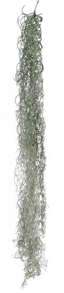 51"L Spanish Moss: Natural Grey - PF173610 - White Bayou Wreaths & Supply