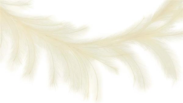 6'L Fabric Pampas Grass Plume Garland: Cream - FG601737 - White Bayou Wreaths & Supply