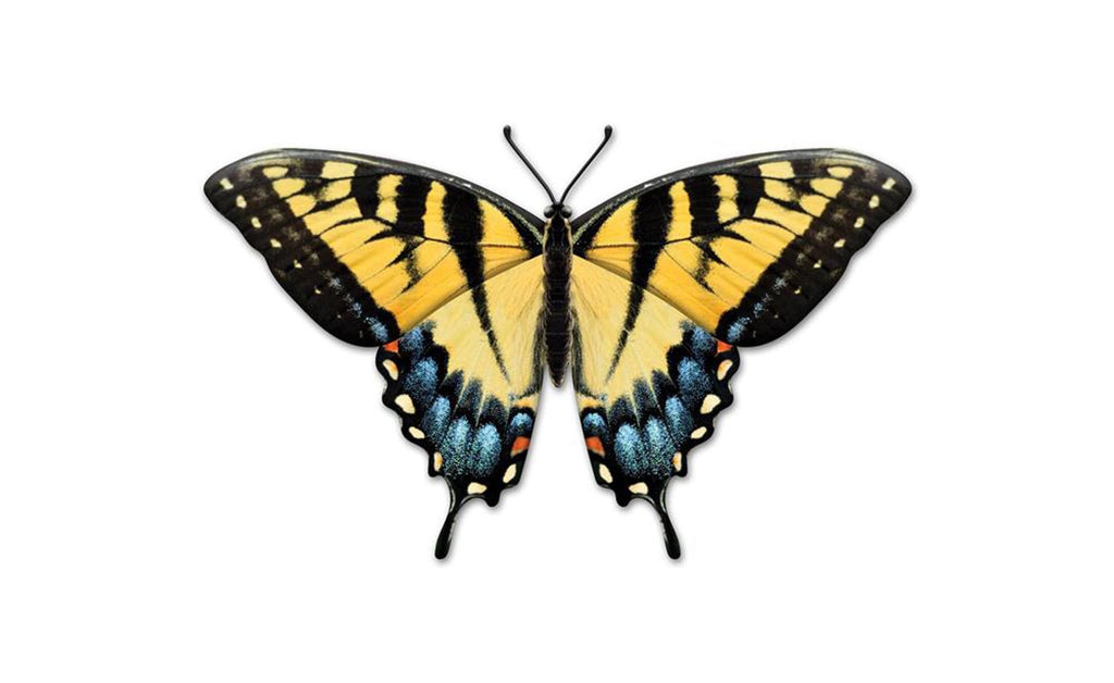 9.85"L Metal Embossed Butterfly Sign: Black, Yellow, Blue - MD136290 - White Bayou Wreaths & Supply