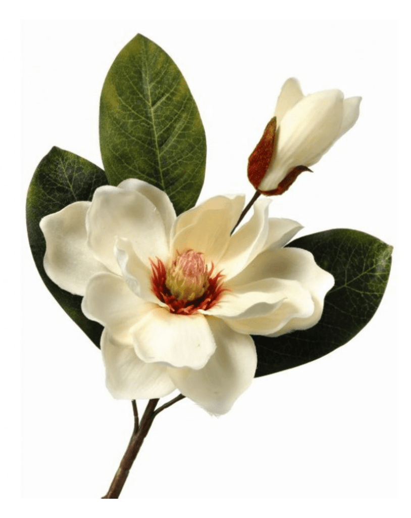 Regency 14" Magnolia & Bud Pick: Cream, White - MTF21446 - CRWT - White Bayou Wreaths & Supply